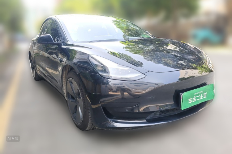 Tesla Model 3 2021 car image #4