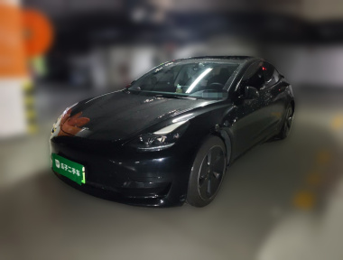 Tesla Model 3 2021 Tesla Model 3 2021 car image