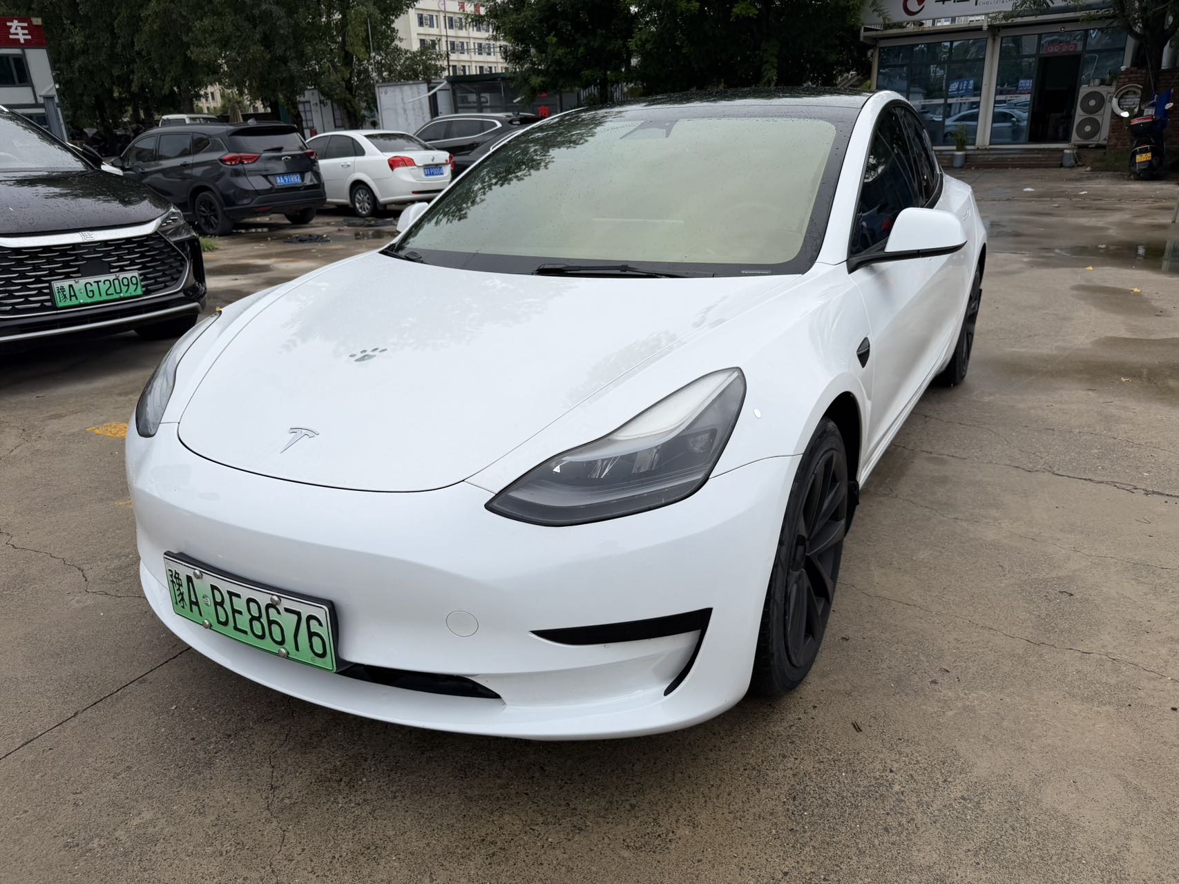 Tesla Model 3 2022 Tesla Model 3 2022 car image