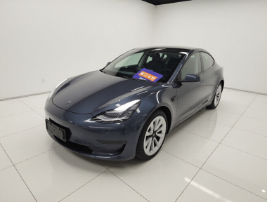 Tesla Model 3 2021 car image 