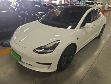 Tesla Model 3 2020 Tesla Model 3 2020 car image