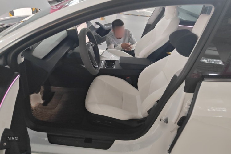 Tesla Model 3 2024 car image #17