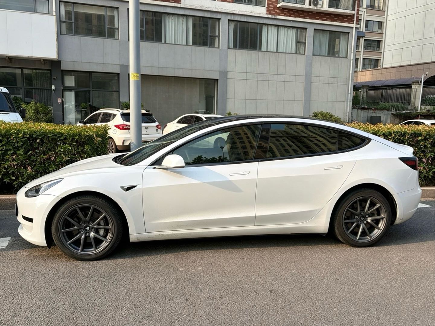Tesla Model 3 2019 #4 Tesla Model 3 2019 car image #4