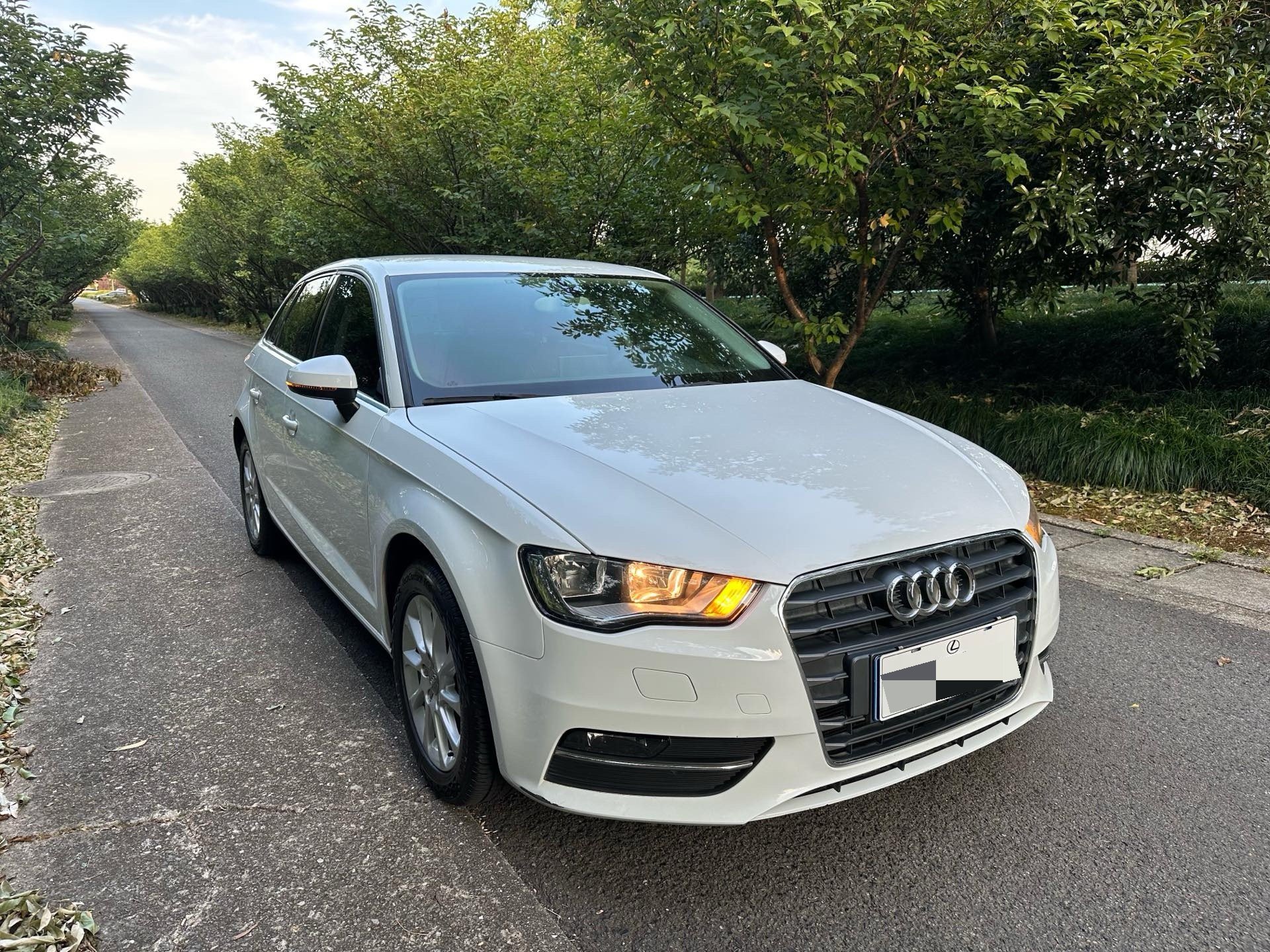 Audi A3 2015 car image #2