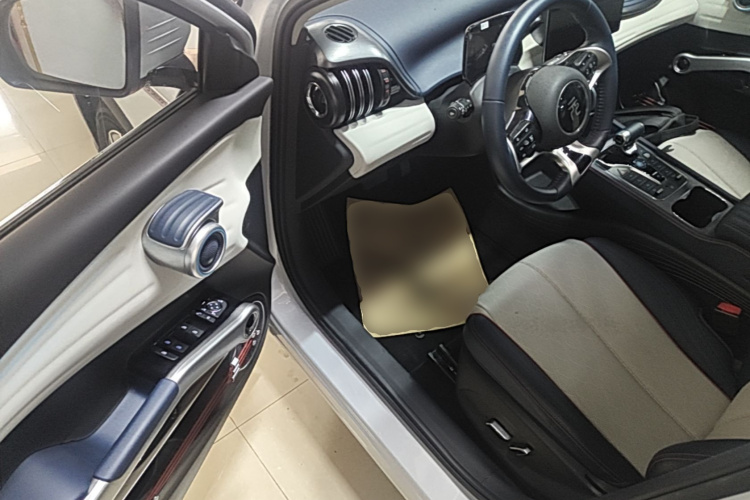 BYD Yuan Plus 2022 immagine di auto #12