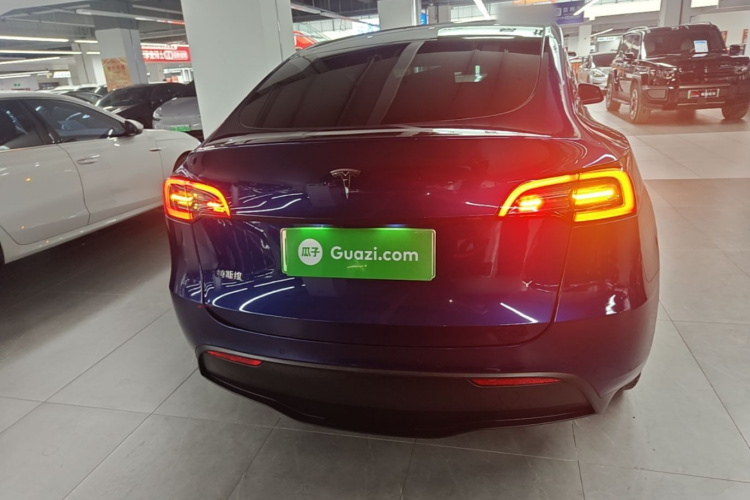 Tesla Model Y 2021 #6 Tesla Model Y 2021 car image #6