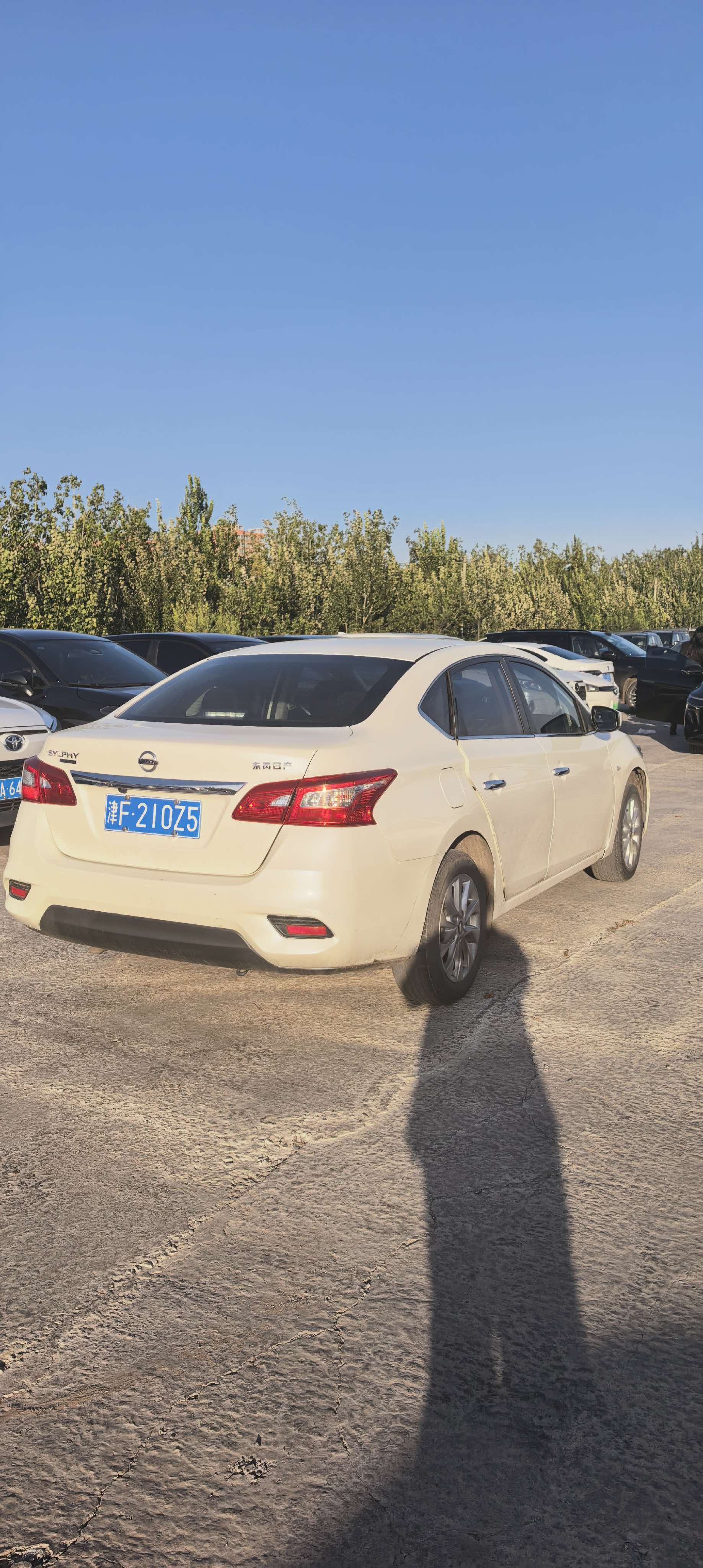 Nissan Sylphy 2023 #6 Nissan Sylphy 2023 car image #6