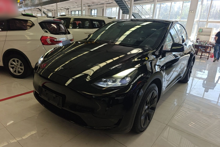 Tesla Model Y 2023 #2 Tesla Model Y 2023 immagine di auto #2