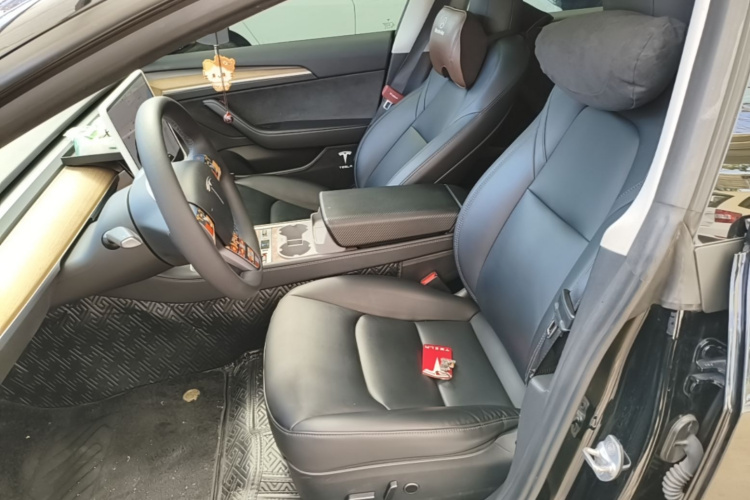Tesla Model 3 2021 car image #15