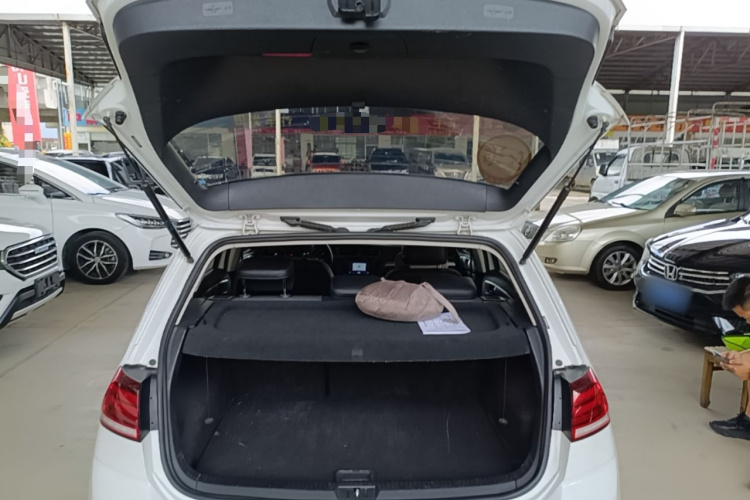 Volkswagen Golf 2018 car image #19