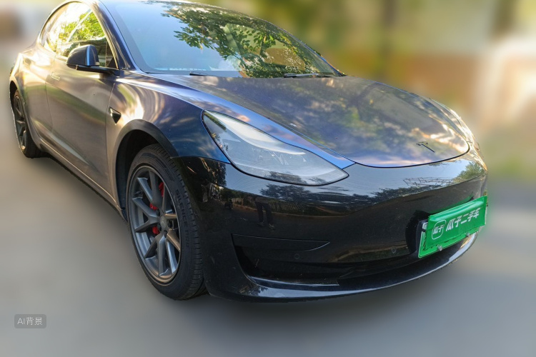 Tesla Model 3 2021 car image #4