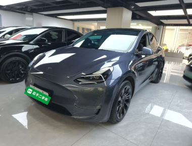 Tesla Model Y 2021 car image 
