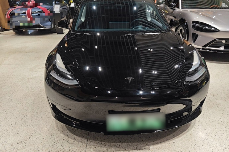 Tesla Model 3 2023 immagine di auto #3