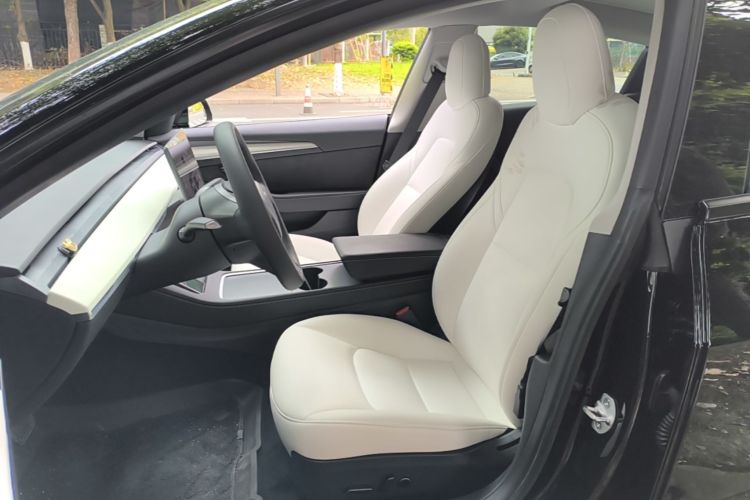 Tesla Model 3 2023 car image #15