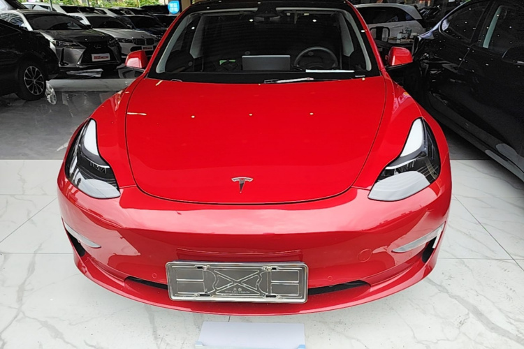 Tesla Model 3 2021 #3 Tesla Model 3 2021 car image #3