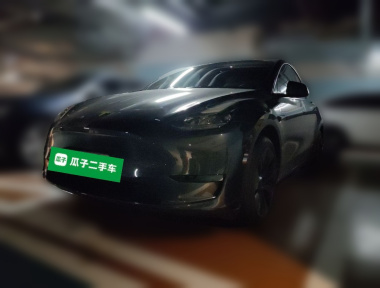 Tesla Model Y 2024 car image 