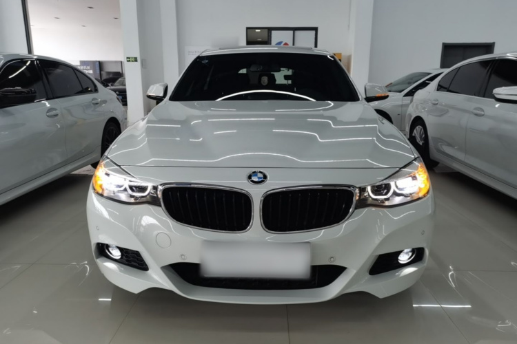 BMW 3 Series GT 2019 #3 BMW 3 Series GT 2019 immagine di auto #3