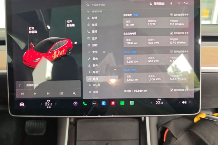 Tesla Model 3 2020 car image #12