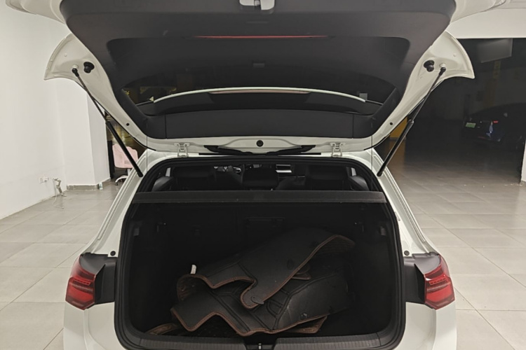 Volkswagen Golf 2021 car image #21