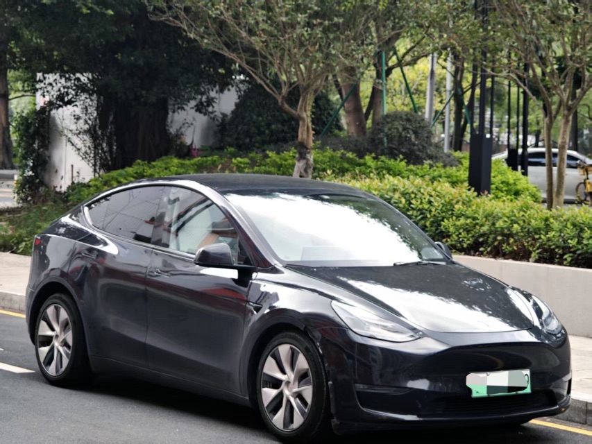 Tesla Model Y 2021 Tesla Model Y 2021 car image