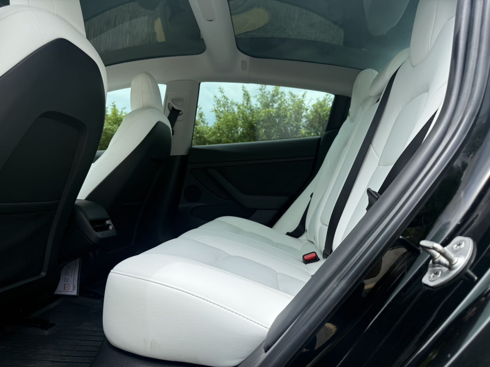 Tesla Model 3 2021 #8 Tesla Model 3 2021 car image #8