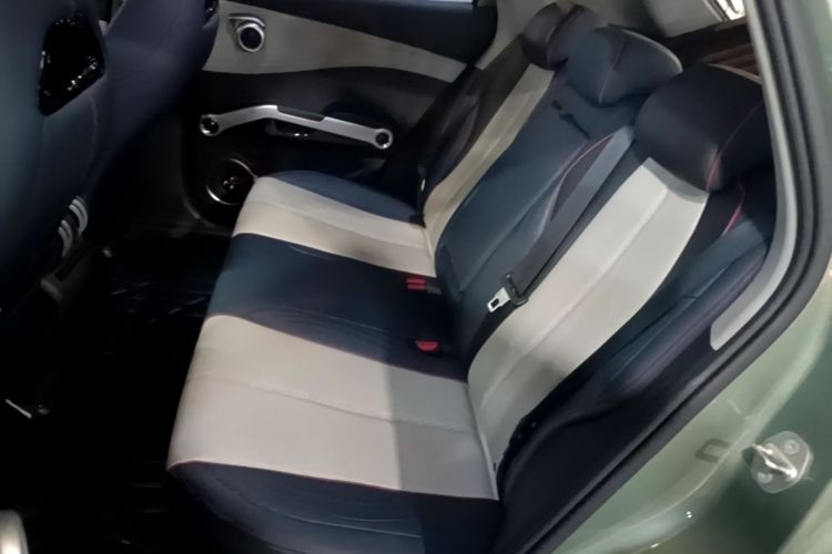 BYD Yuan Plus 2023 car image #17