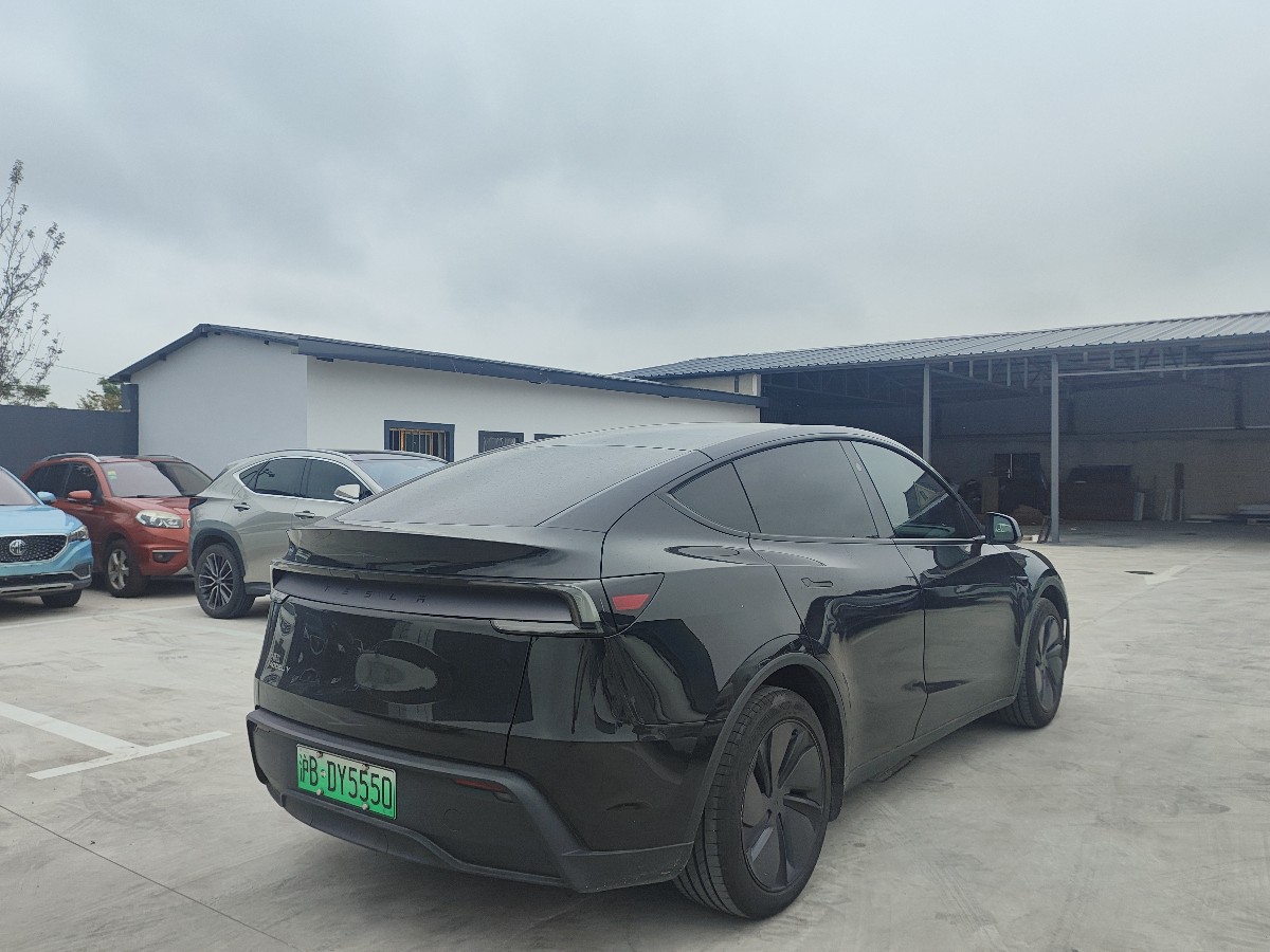 Tesla Model Y 2025 #10 Tesla Model Y 2025 car image #10