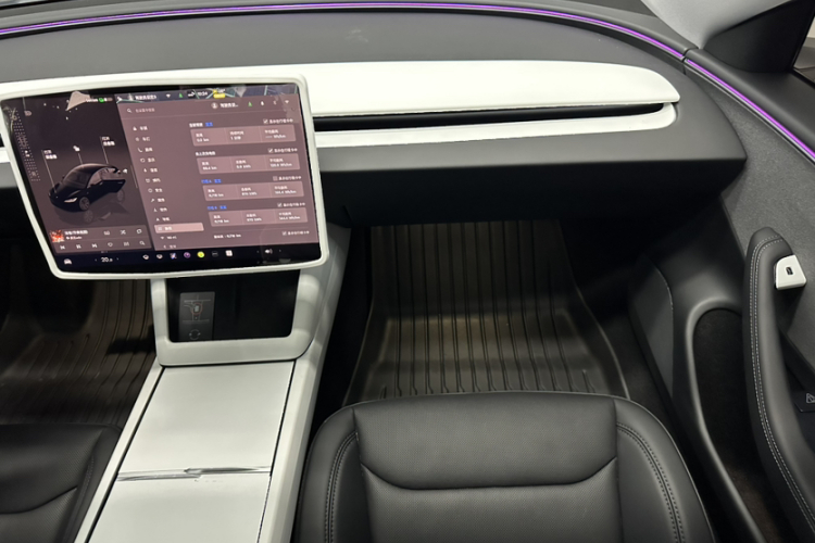 Tesla Model 3 2026 car image #16