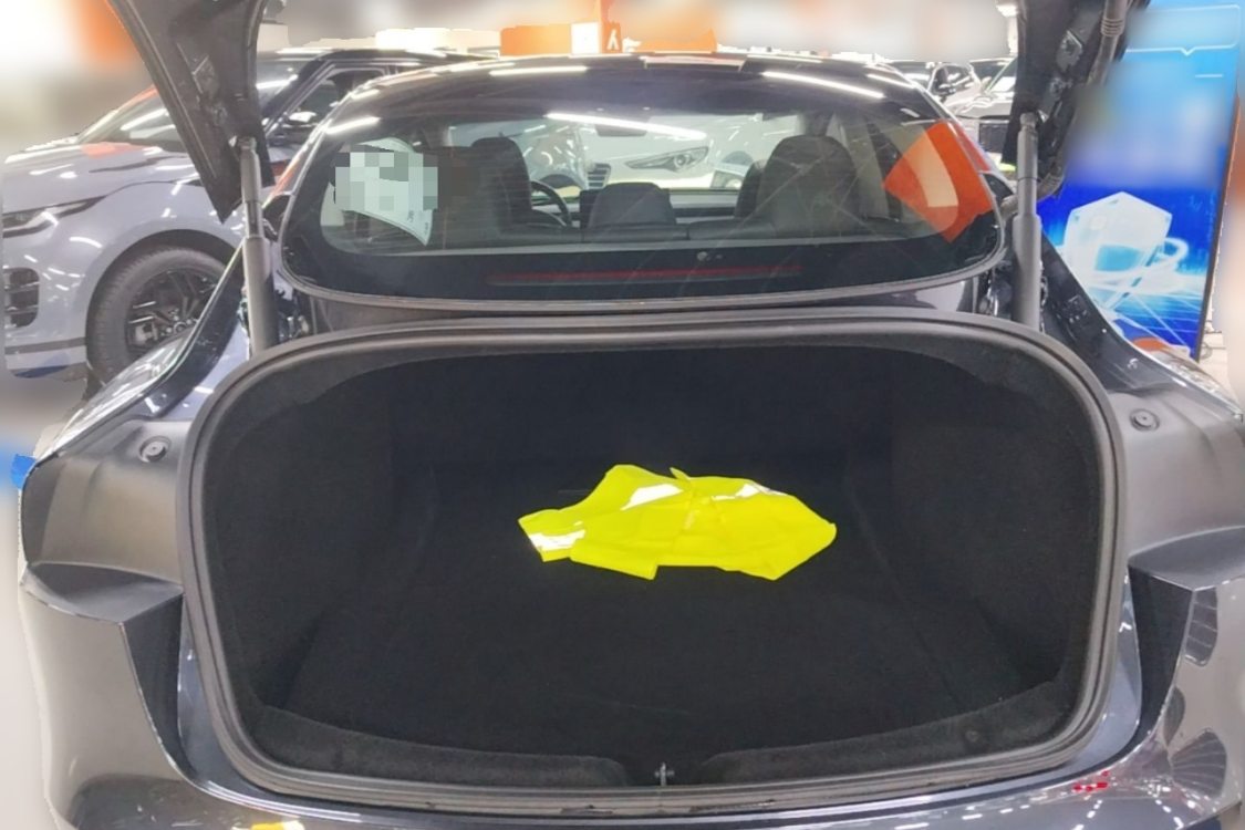 Tesla Model 3 2024 imagen de coche #10