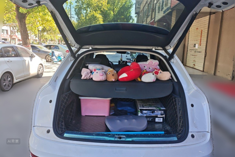 Audi Q3 2019 #21 Audi Q3 2019 car image #21