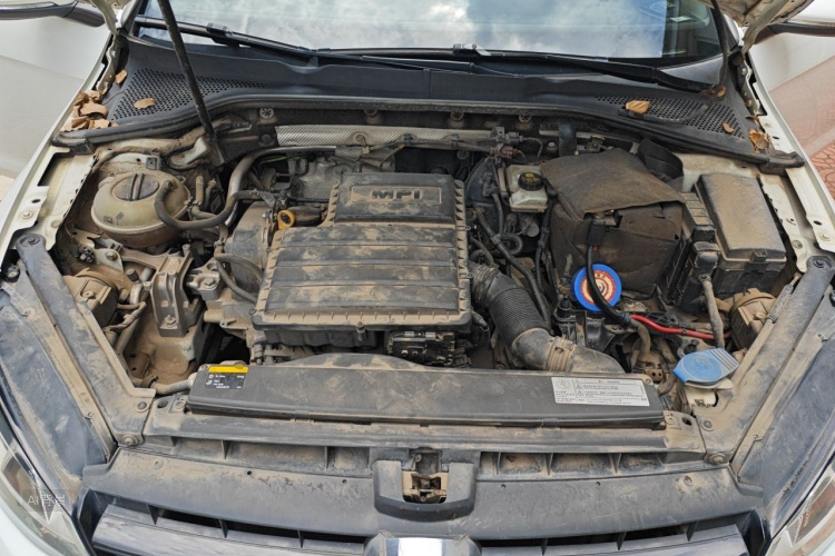 Volkswagen Golf 2016 car image #22