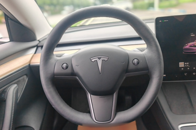 Tesla Model 3 2023 car image #8