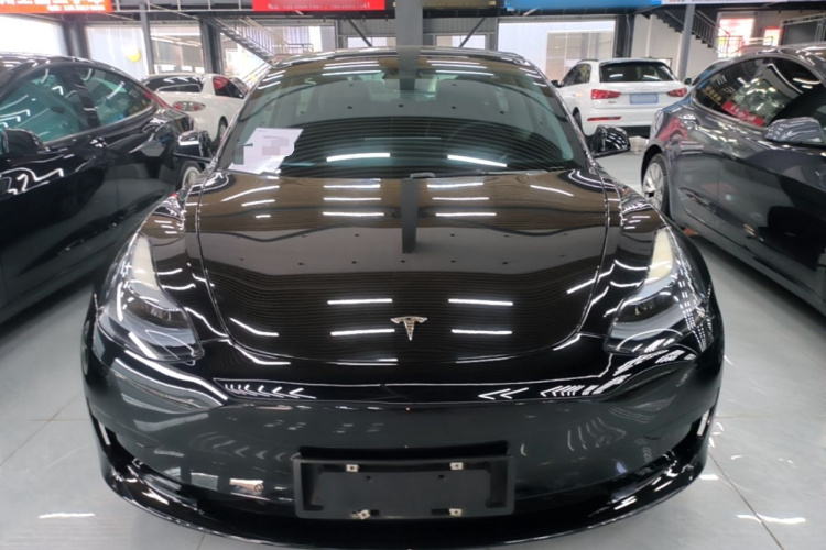 Tesla Model 3 2023 #3 Tesla Model 3 2023 car image #3