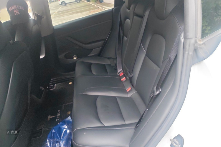 Tesla Model 3 2021 car image #19