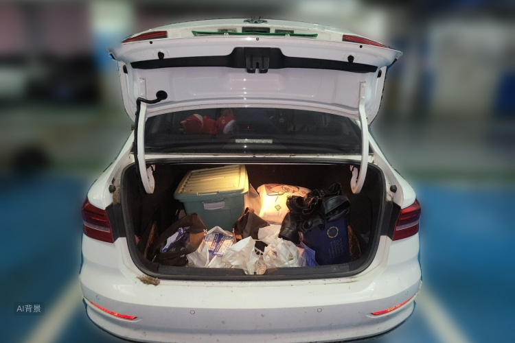 Volkswagen Lavida 2019 car image #21