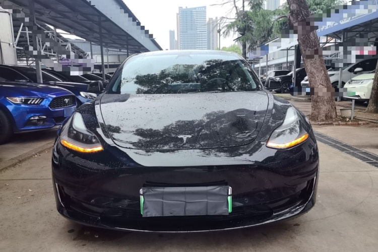 Tesla Model 3 2021 immagine di auto #3