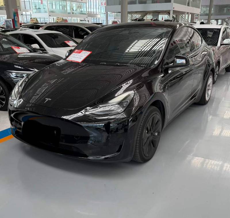 Tesla Model Y 2023 car image 