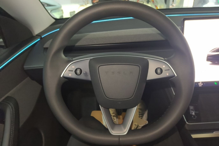 Tesla Model Y 2025 car image #11