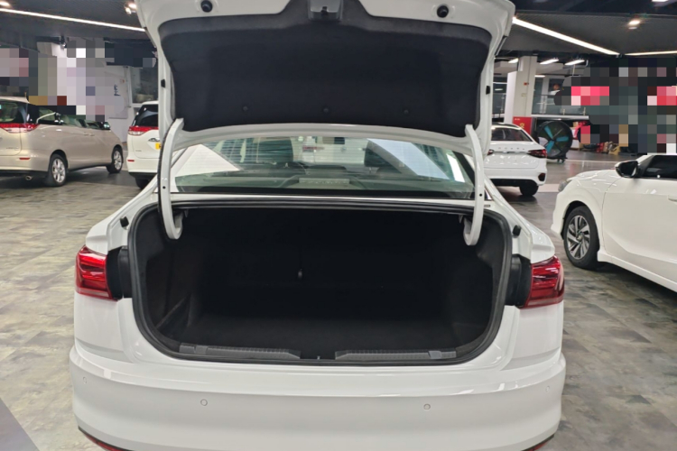 Volkswagen Bora 2020 car image #19