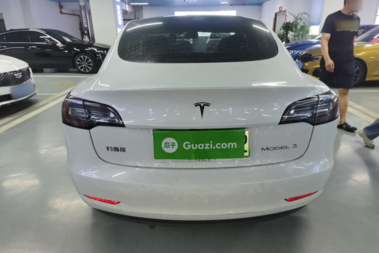 Tesla Model 3 2020 car image #6