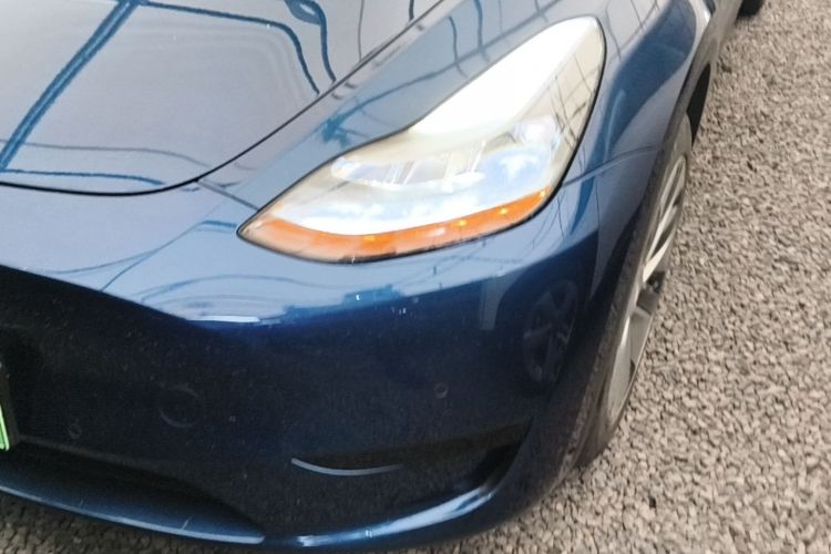 Tesla Model Y 2023 #23 Tesla Model Y 2023 car image #23