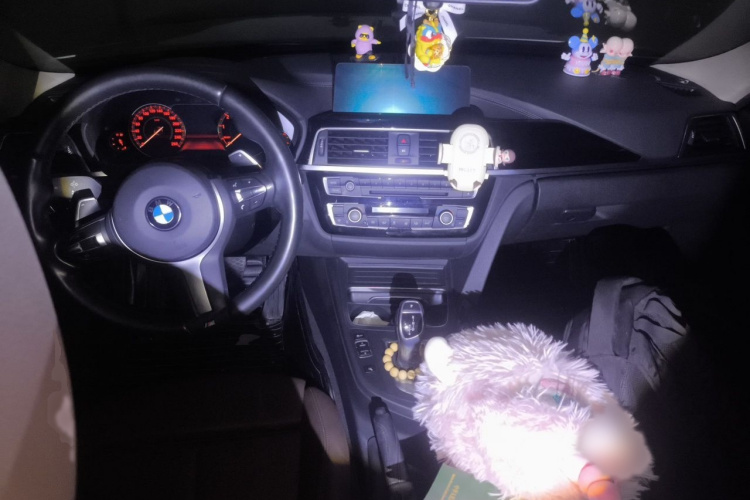 BMW 3 Series 2018 car image #12
