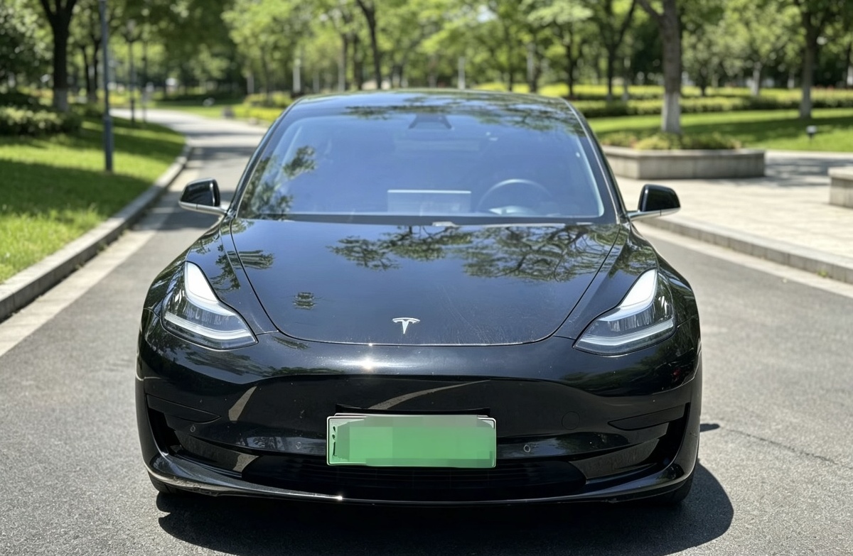 Tesla Model 3 2020 Tesla Model 3 2020 car image