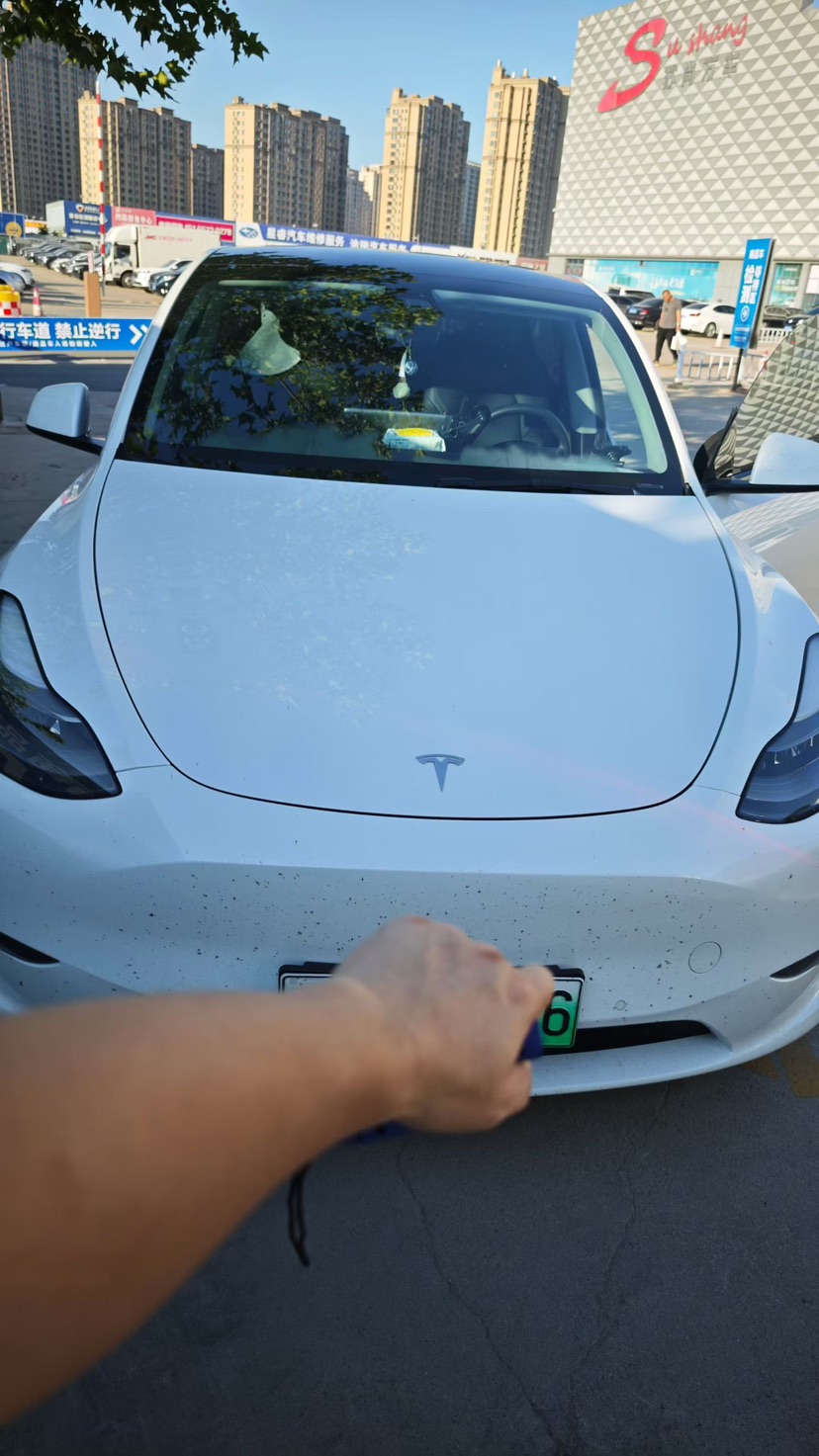 Tesla Model Y 2021 car image #2