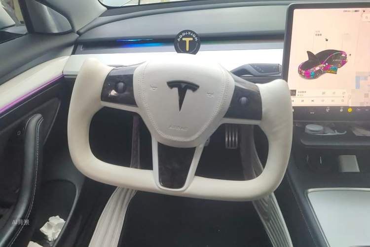 Tesla Model 3 2021 car image #12