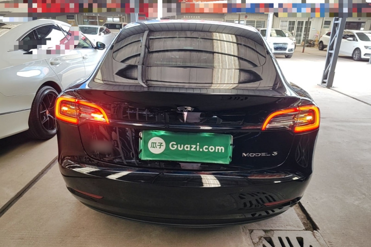Tesla Model 3 2020 car image #4