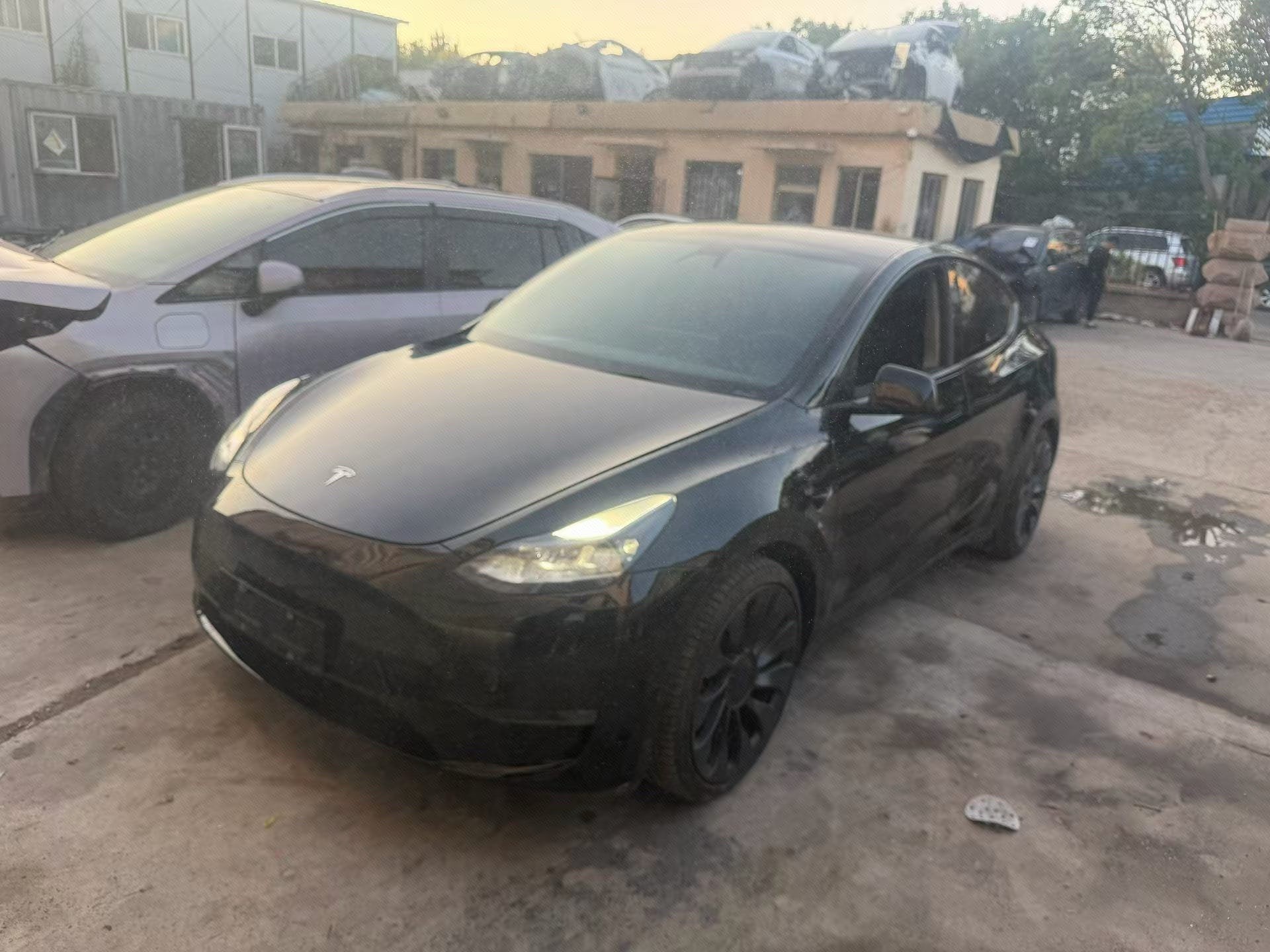 Tesla Model Y 2021 car image 
