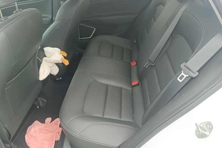 GEELY Emgrand GL 2020 car image #17