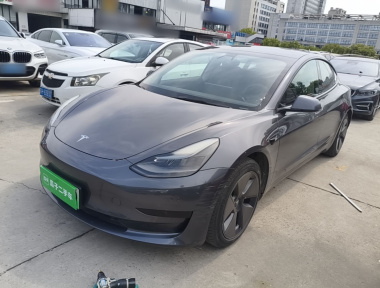 Tesla Model 3 2021 Tesla Model 3 2021 car image