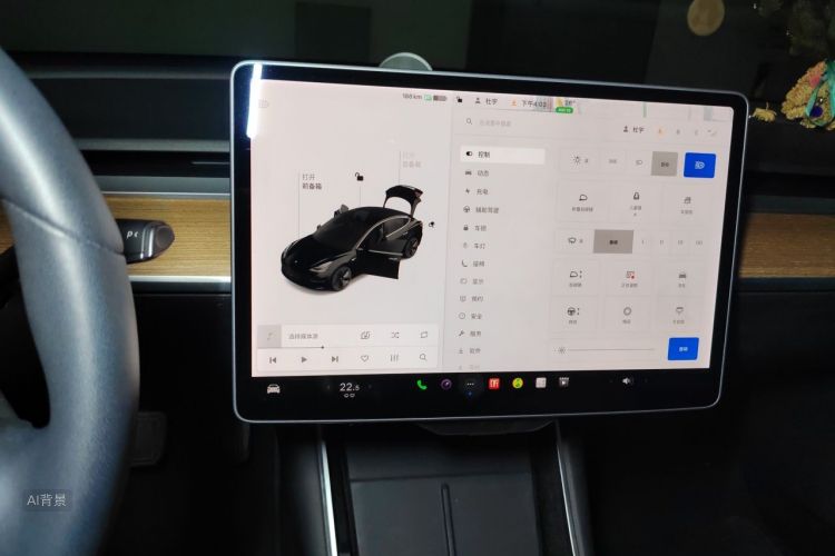 Tesla Model 3 2020 car image #13